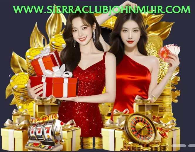 pgx555 Gaming Experience - pak